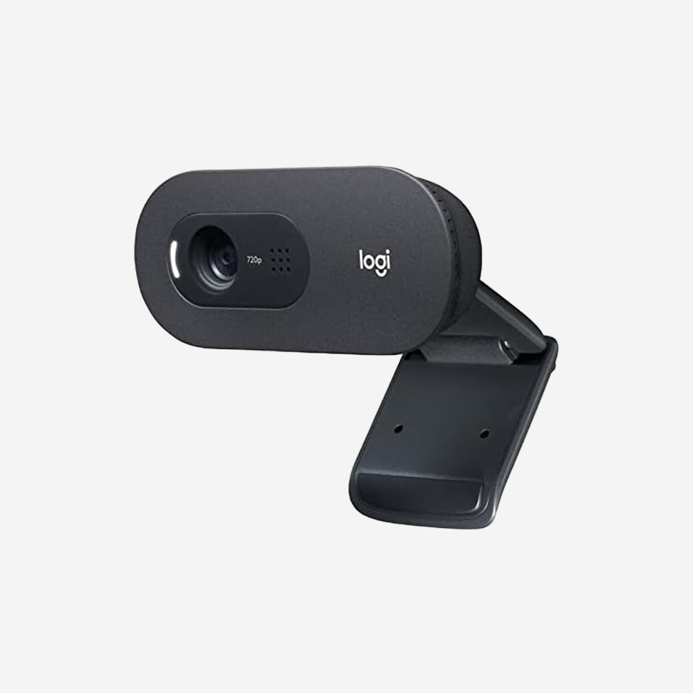 logitech webcam c505e usb